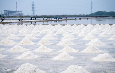 Sea salt farm and blur worker working on farm. Brine salt. Raw material of salt industrial. Sodium...