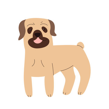 Dog Breed hand drawn illustration_Boerboel