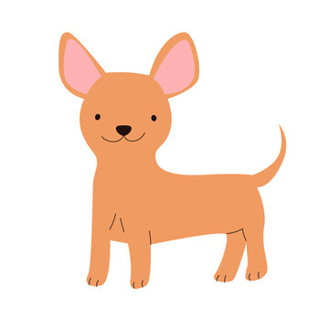 Dog Breed hand drawn illustration_Gemini chihuahua
