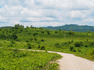 Scenery of mountain forest, rural road in Thailand