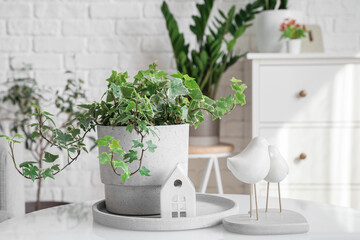 Green houseplant with decor on table in light living room, closeup