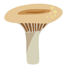Lactarius