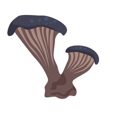 mushroom Illustration Pink oyster