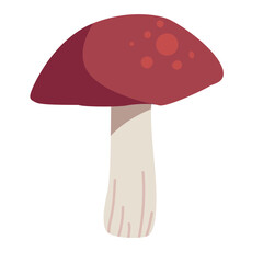 Mushroom Handdrawn Illustration_Amanita