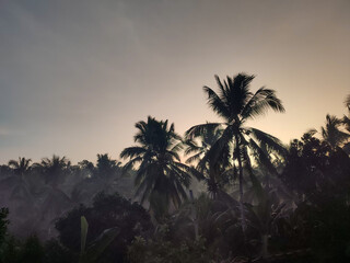 view of the sky over the countryside in the morning