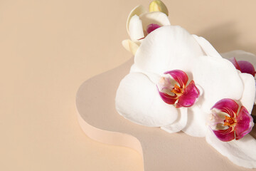 Decorative plaster podium and beautiful orchid flowers on beige background