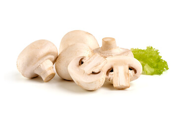 Fototapeta premium Champignons with letuce, close-up, isolated on white background.