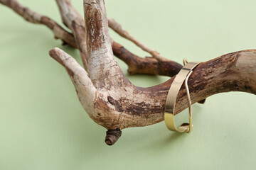 Tree branches with golden bracelet on green background, closeup