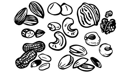 素朴な手描きのナッツ 色々 ベクター モノクロ - obrazy, fototapety, plakaty
