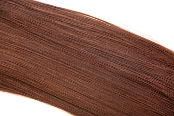 Brown hair on white background