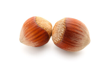 Shelled hazelnuts on white background