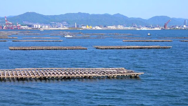 瀬戸内海に浮かぶ牡蠣養殖筏と広島市沿岸の風景を船から移動撮影  4K  2023年4月23日  広島湾の宇品島・似島付近にて撮影