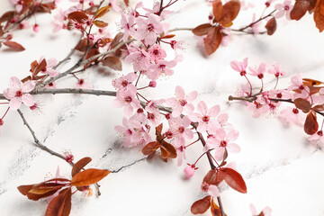 Beautiful blossoming branches on white marble background