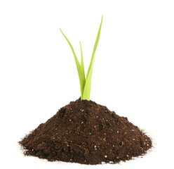 Green seedling with heap of soil on white background