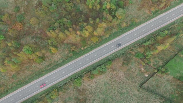 Cars driving along road that passes through natural area with trees, bushes, grass. Aerial, top view on diagonal highway traffic at woodland scenery in summertime. 4K UHD 4096x2304