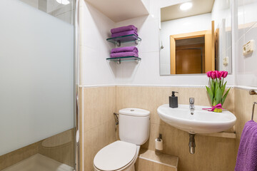 Cozy bathroom with toilet sink and mirror with towels and flowers in a hotel room while traveling....