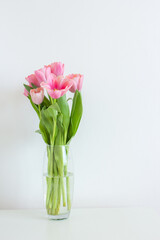 Pink tulips bouquet in glass vase on white background copy space