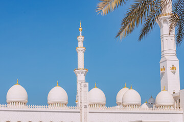 Fototapeta na wymiar Palm leaves and striking masterpiece of Islamic architecture, the Sheikh Zayed Grand Mosque dazzles with its beauty.