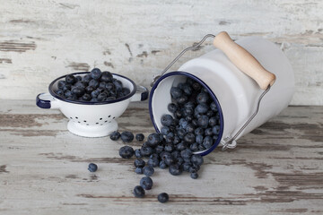 Fresh Picked Blueberries Vintage Still Life - 597370894