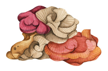 Seaweeds. Underwater ocean plants, sea coral elements. Watercolor illustration.