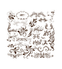 flat floral design elements