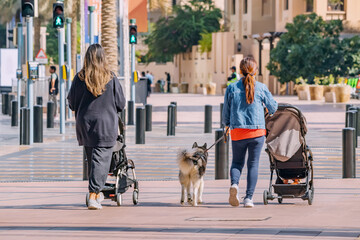 Two friends mothers with strollers and kids and dog walking to pedestrian crossing at city street. Safety and motherhood concept