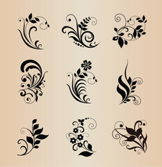 set of floral elements