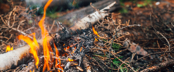 Burning branches and brushwood in fire close-up. Atmospheric warm background with orange flame of campfire and blue smoke. Beautiful full frame image of bonfire. Firewood burns in vivid flames.