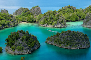 Fototapeta premium Piaynemo in Raja Ampat Indonesia
