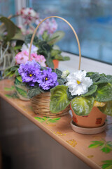 still life with flowers