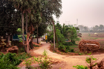U Shaped dirt road of a rural village. Summer Landscape. Rural India. Bankura West Bengal India South Asia Pacific - obrazy, fototapety, plakaty
