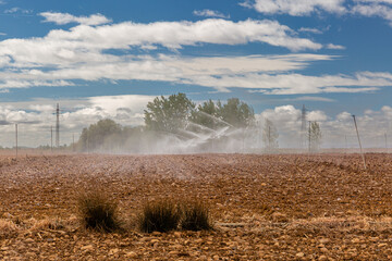 Agricultural field, sprinkler irrigation and small forest under the blue sky with clouds. Region of El Páramo, León, Spain.