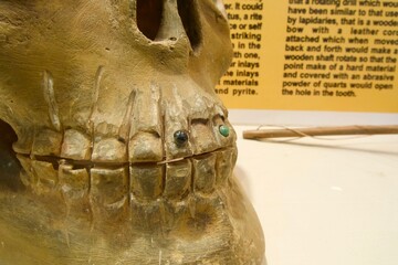 Exhibition about ancient mayan dentistry