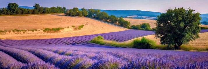 Beautifull french landscape whit lavender field. Digital ai art - obrazy, fototapety, plakaty