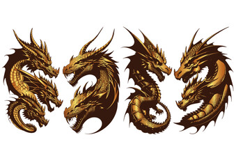 Dragon Gold vector illustration design template white backgound
