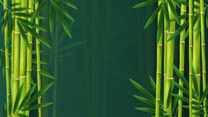 Fototapeta na wymiar Jungle Bamboo Tropical Background