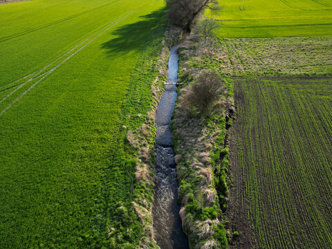 early sprouting trees and blooming cherries controls agricultural activity and grain quality. ruts from a tractor and counting the condition of game in the forest using a drone flying above the ground - Powered by Adobe