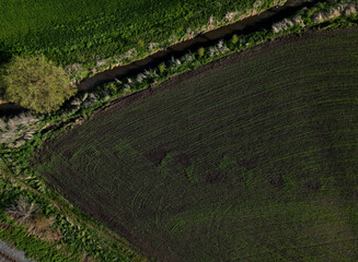 cross-country run through a flooded stream. footbridge with a thinly spaced plank floor. Big water in a narrow channel, video flight over the landscape. seed congestion