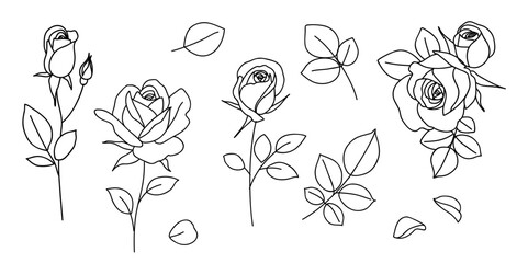 Set of one line drawing. Decorative rose with bud and petal. Hand drawn floral elements for tattoo or sticker design. Vector stock illustration.	