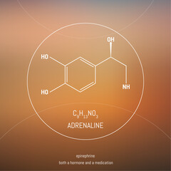Adrenaline hormone molecule and formula in front of cosmis background. Brain chemistry infographic. © VeronikaBy