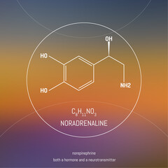 Noradrenaline neuro transmitter and hormone molecule and formula in front of cosmis background. Brain chemistry infographic.