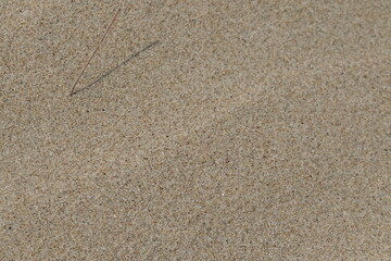 White sand texture background with wave pattern