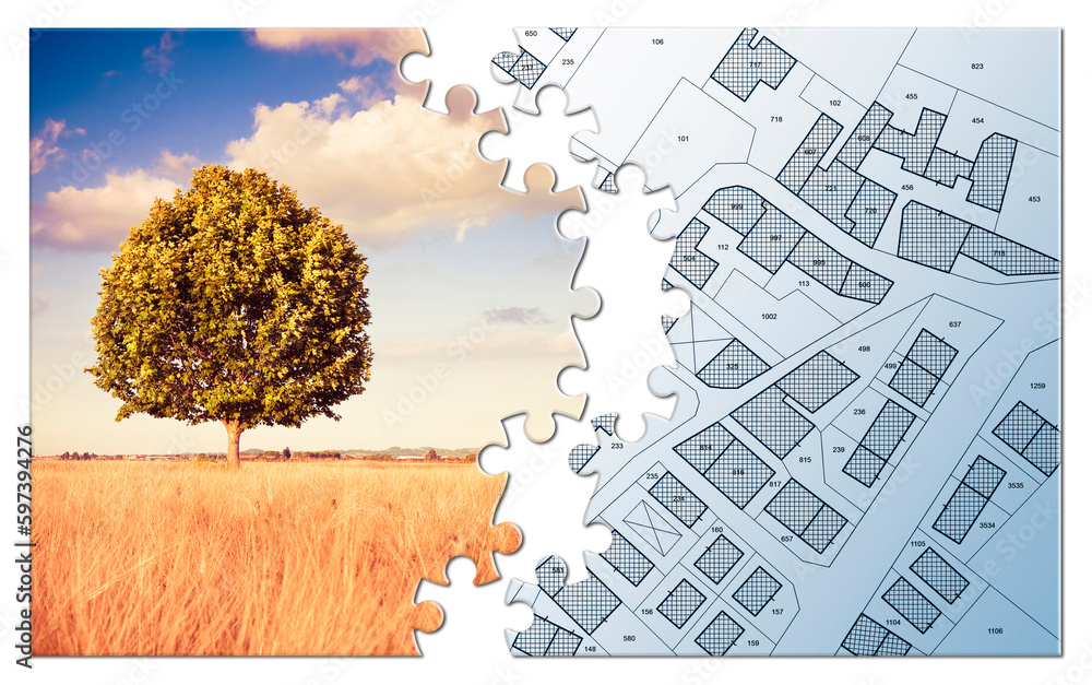 Poster cadastral map with lone tree on a rural scene - concept in jigsaw puzzle shape
