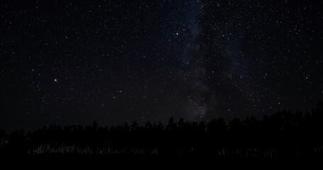 The Milky Way galaxy above the silhouettes of trees