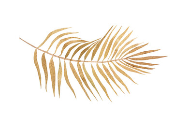 Watercolour palm leaf. Tropical plant element. Hand drawn botanical illustration.