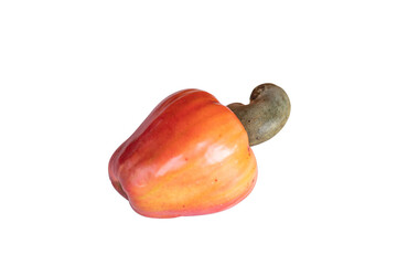 fruit of cashew isolated on white background