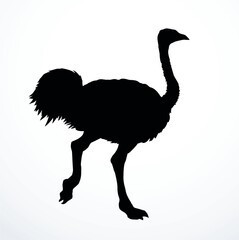 Vector drawing. Ostrich in the steppe