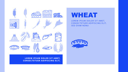 wheat grain cereal plant icons set vector