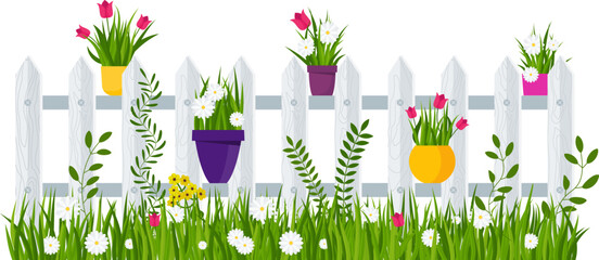Potted chamomile and tulips. Garden flowers. Flat vector illustration isolated on white background.