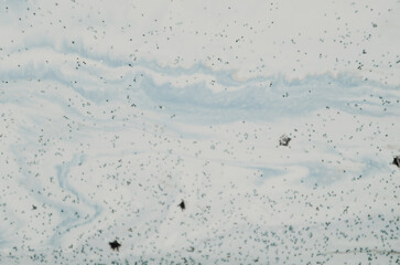 Golden swirl. The Museum of Art. Nature.Soft pastel painting.Gold MARBLE- ART. Sequins and glitters. Beautiful wallpaper. Fine art. Fashion, magic,fantasy style. Wonderful wallpaper.Painting pattern. 